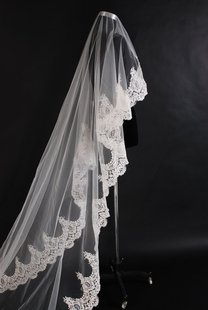2015新款新娘头纱韩式蕾丝花边3米超长拖尾软纱结婚婚纱 唯美