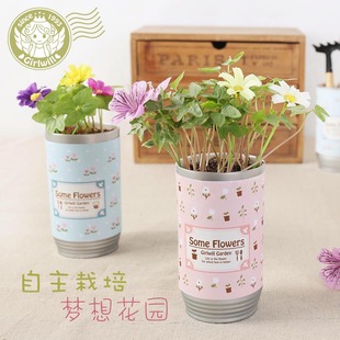 易拉罐植物diy礼物种植可爱创意迷你办公室罐头花卉小盆栽微景观