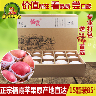 山东烟台栖霞苹果85#特价 红富士苹果礼盒特价 新鲜苹果水果包邮