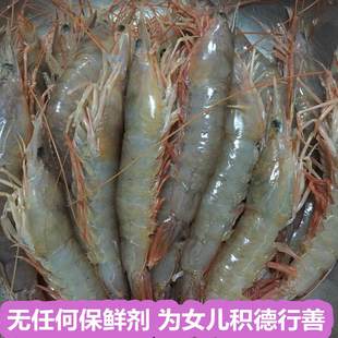 海虾 红虾 野生海虾 深海虾 大虾 小虾 海鲜 水产 孩子辅食4斤装