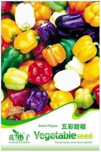 彩色辣椒种子 五彩甜椒混合装 阳台种菜瓜果种子 观赏/食用2不误