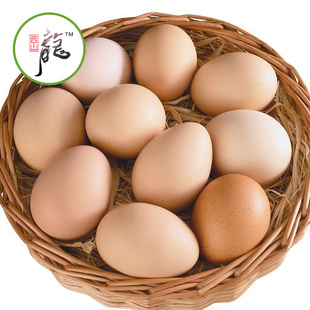 【包邮】陕西秦岭西山农家散养 新鲜正宗的有机保洁安全土鸡蛋