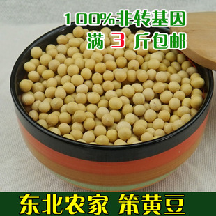 东北大豆黑龙江特产黄豆农家自种非转基因豆浆发豆芽专用250g