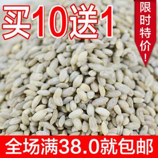 藏青稞青藏特产蓝青稞米大麦精选正宗非转基因绿色杂粮特产
