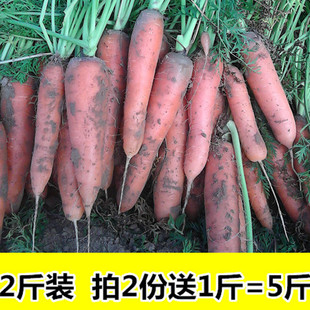 农家自种胡萝卜有机胡萝卜新鲜非转基因新鲜小胡萝卜新鲜蔬菜