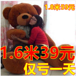 毛绒玩具泰迪熊布娃娃1.6米熊1.8米公仔大号抱抱熊狗熊生日礼物女