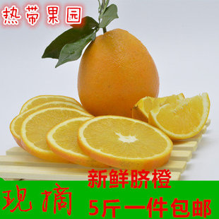 新鲜热带水果江西脐橙赣南甜橙子5斤装包邮非橘子柑子血橙红橙