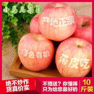 【小马儿果园】山东烟台苹果特产栖霞苹果红富士新鲜水果10斤包邮