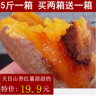 临安天目山小香薯 农家自种红心甜红薯烤地瓜黄生新鲜番薯山芋