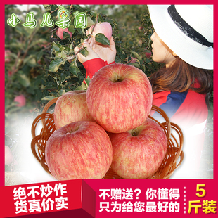 【天天特价】烟台苹果80#5斤正宗栖霞红富士苹果特价新鲜水果包邮