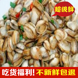 连云港海鲜特产鲜活海瓜子新鲜大个头海瓜子海蛎子鲜活水产批发