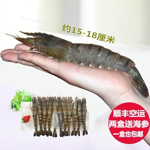 虎虾 海虾新鲜大虾 斑节虾 明虾青虾 对虾 40克/只120元/盒 包邮
