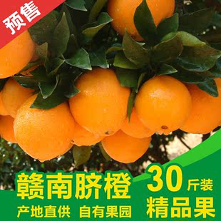 预售正宗赣南脐橙30斤装鲜橙 橙子 血橙 孕妇新鲜水果 时令手剥橙