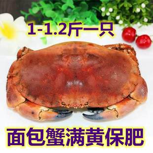 面包蟹 海蟹 海鲜水产 大螃蟹 珍宝蟹 68/只 4只包邮 满黄蟹 保肥